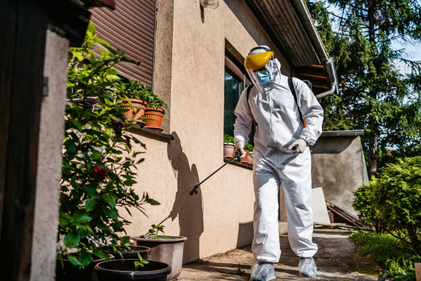 Best Termite Control Services  in Villa Ridge, MO