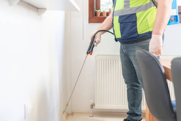 Professional Pest Control in Villa Ridge, MO